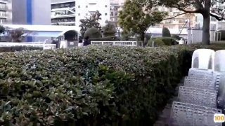 《视频成年0在线观看》HD在线观看-2019国语在线播放-熊猫影视